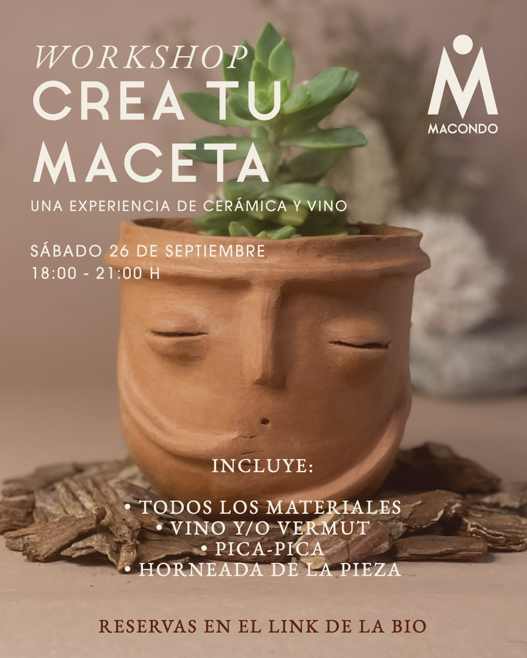 Crea tu Vaso Escultórico